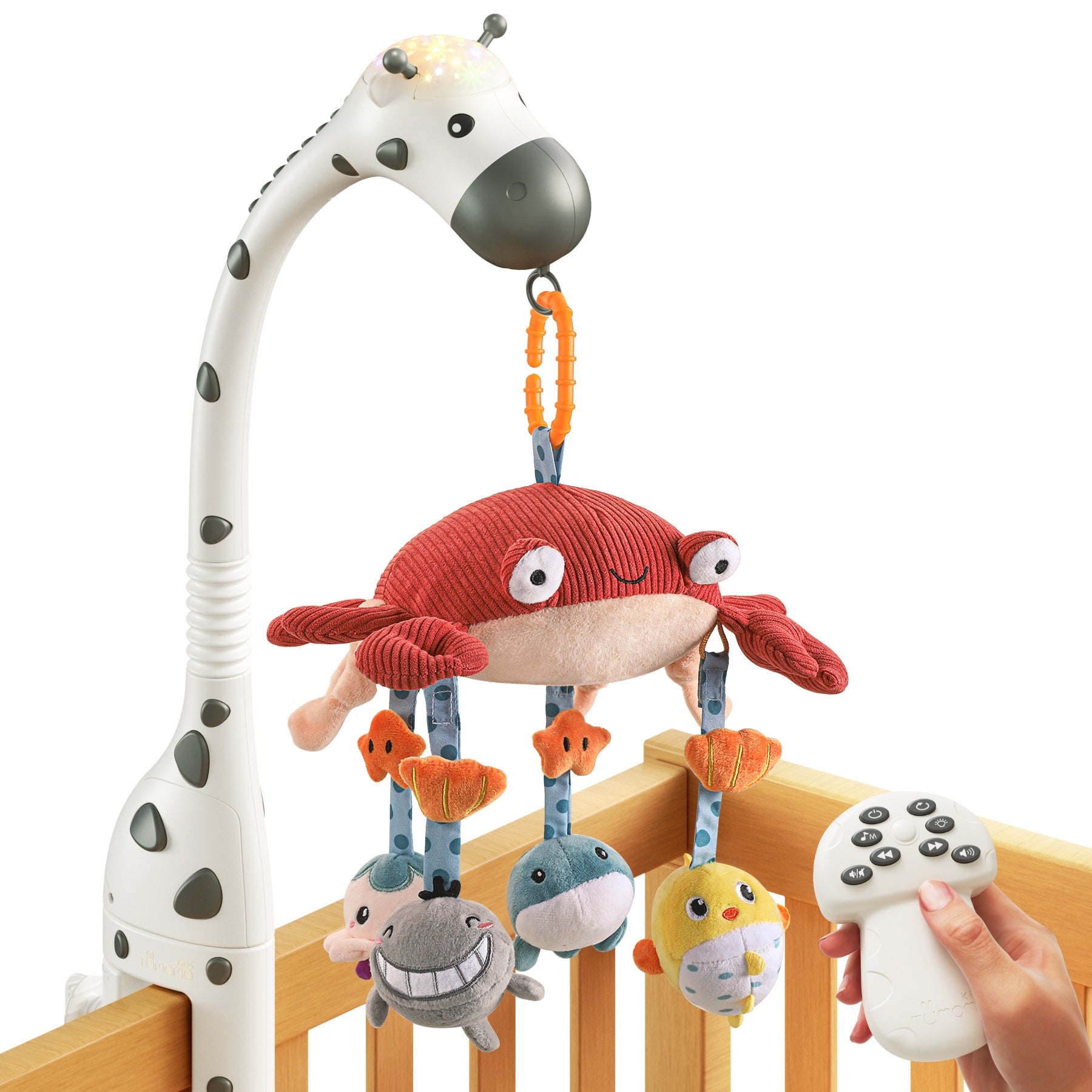 Multi-functional Music Toy For Baby Sleep - Happy Coo