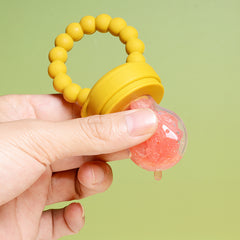 Baby Pacifier Fruit And Vegetable Bite Supplement - Happy Coo